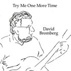 David Bromberg - Try Me One More Time