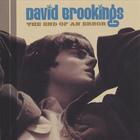 david brookings - end of an error