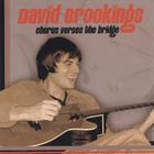 david brookings - chorus verses the bridge