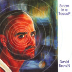 David Brown - Storm in a Teacup