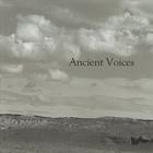 David Burkhart - Ancient Voices