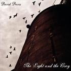 David Davis - The Light And The Grey