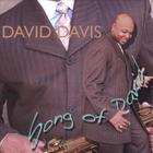 David Davis - Song Of David