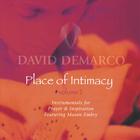 David DeMarco - Place of Intimacy Volume 2