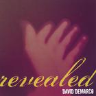 David DeMarco - Revealed