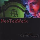 David Diggs - NeoTekWerk