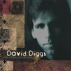 David Diggs - The Artful Collection