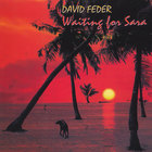 David Feder - Waiting For Sara