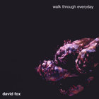 David Fox - walk through everyday