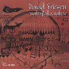 David Friesen - Waterfall Rainbow
