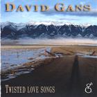 David Gans - Twisted Love Songs