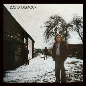 David Gilmour (Vinyl)