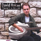 David Hakan - There's a Storm