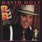 David Holt - Reel & Rock