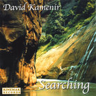David Kamenir - Searching