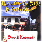 David Kamenir - There are No Delis in Ensenada