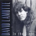 David LaMotte - In the Light