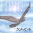 David LaMotte - Flying: Live From the Grey Eagle