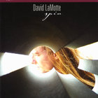 David LaMotte - Spin