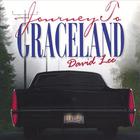 David Lee - Journey To Graceland