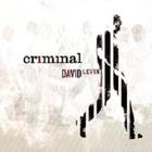 David Levin - Criminal