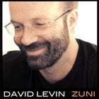 David Levin - Zuni