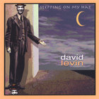David Levin - Stepping On My Hat