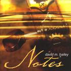 david m. bailey - Notes