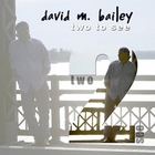 david m. bailey - Two to See