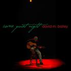 david m. bailey - Some Quiet Night