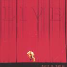 david m. bailey - LIVE ( 2-CD)