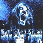 David Mark Pearce - Shelter Me From The Rain