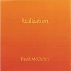 David McClellan - Realization