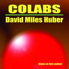 David Miles Huber - colabs