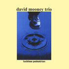 David Mooney Trio - Luckless Pedestrian