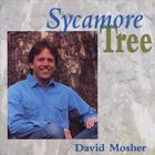 David Mosher - Sycamore Tree