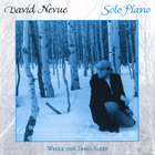 David Nevue - While the Trees Sleep