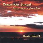 David Robert - Tamarindo Sunset (Postcards From Costa Rica)