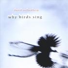 David Rothenberg - Why Birds Sing