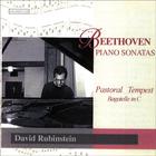 David Rubinstein - David Rubinstein plays Beethoven Pastoral and Tempest Sonatas