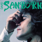 David Sanborn - Sanborn (Vinyl)