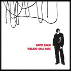 David Shaw - Walkin' On A Wire