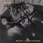 David Sweet - Muzik Elektronen