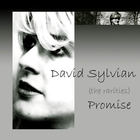 David Sylvian - Promise CD1