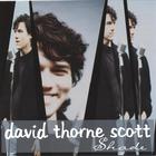 David Thorne Scott - Shade