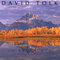 David Tolk - In Reverence