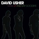 David Usher - Wake Up And Say Goodbye