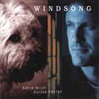David Wildi Guitar Poetry - Windsong