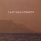 David Williams - Summer