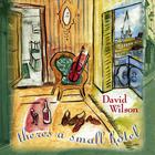 David Wilson - There's A Small Hotel